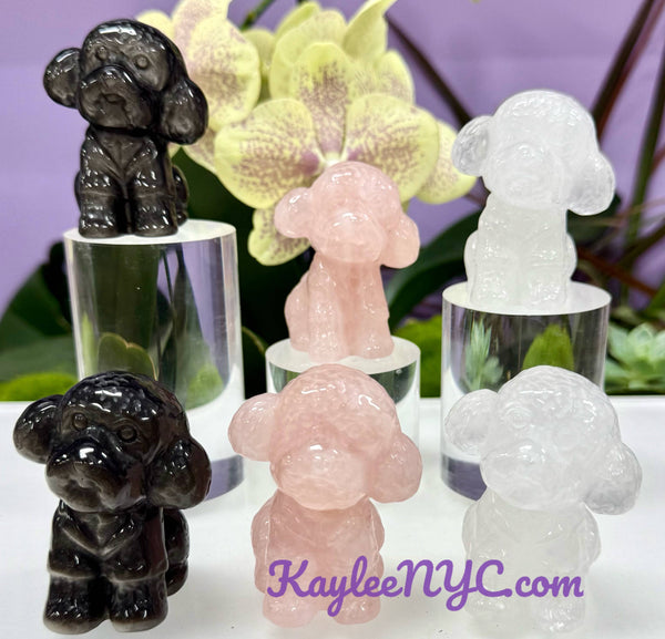 Crystal Toy Poodle