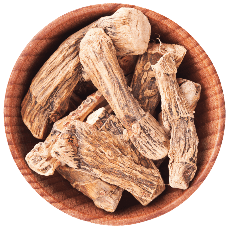 Calamus Root