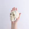 Onyx Skull