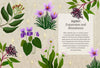 Astro Herbalism