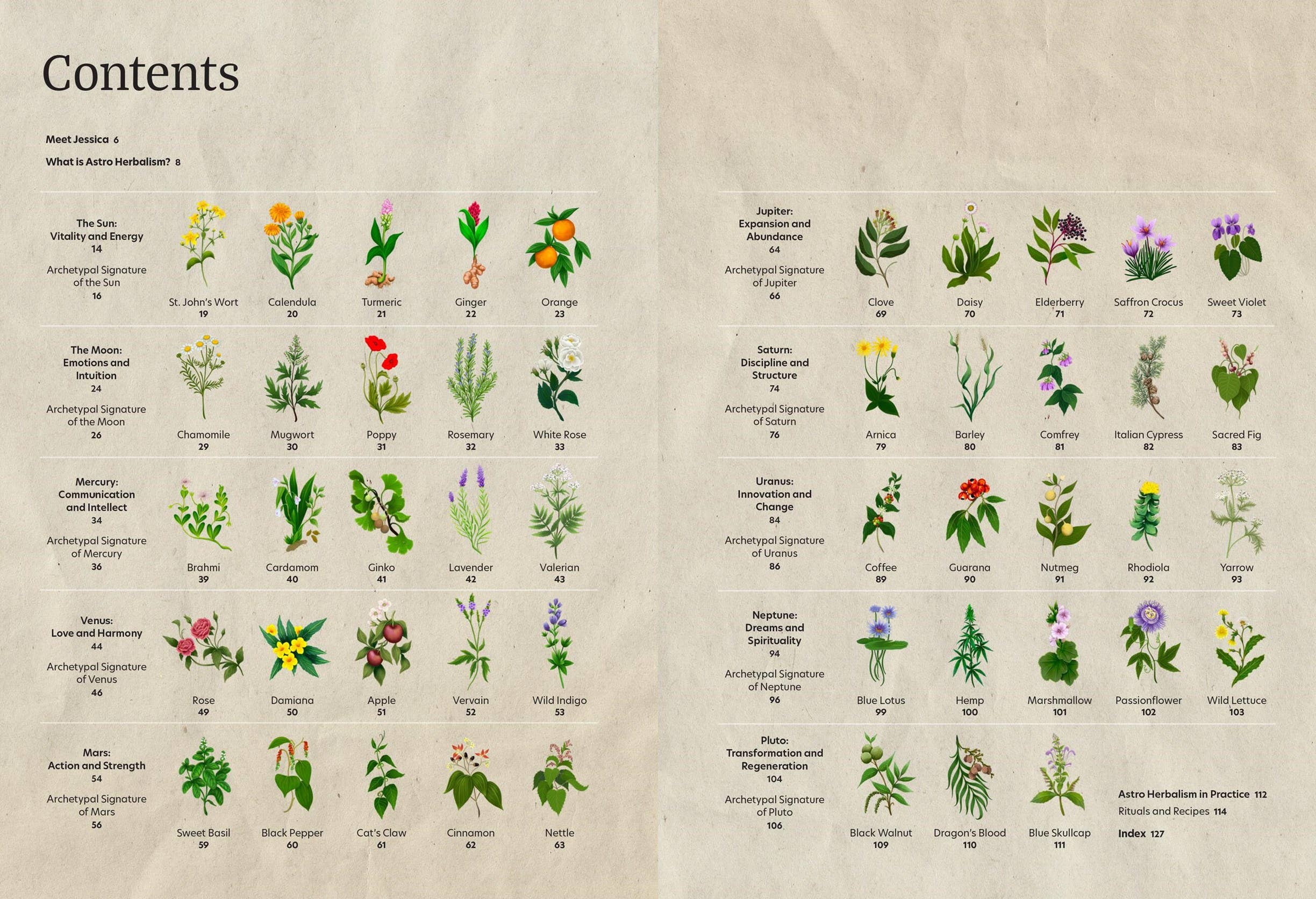 Astro Herbalism