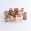 Petrified Wood