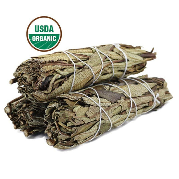 Yerba Santa Burn Bundle