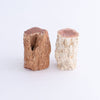 Petrified Wood