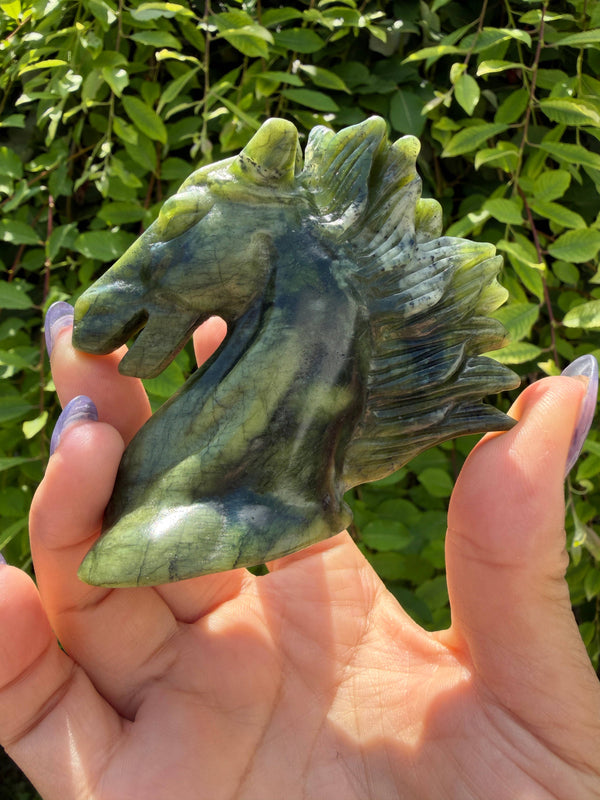 A hand holding a polished green stone horse head carving, with a background of green foliage.