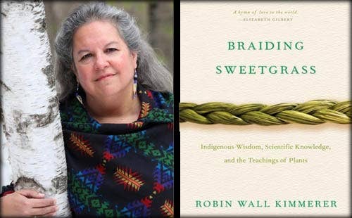 Braiding Sweetgrass Book. By Robin Wall Kimmerer.