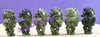 Nephrite Jade Seahorses