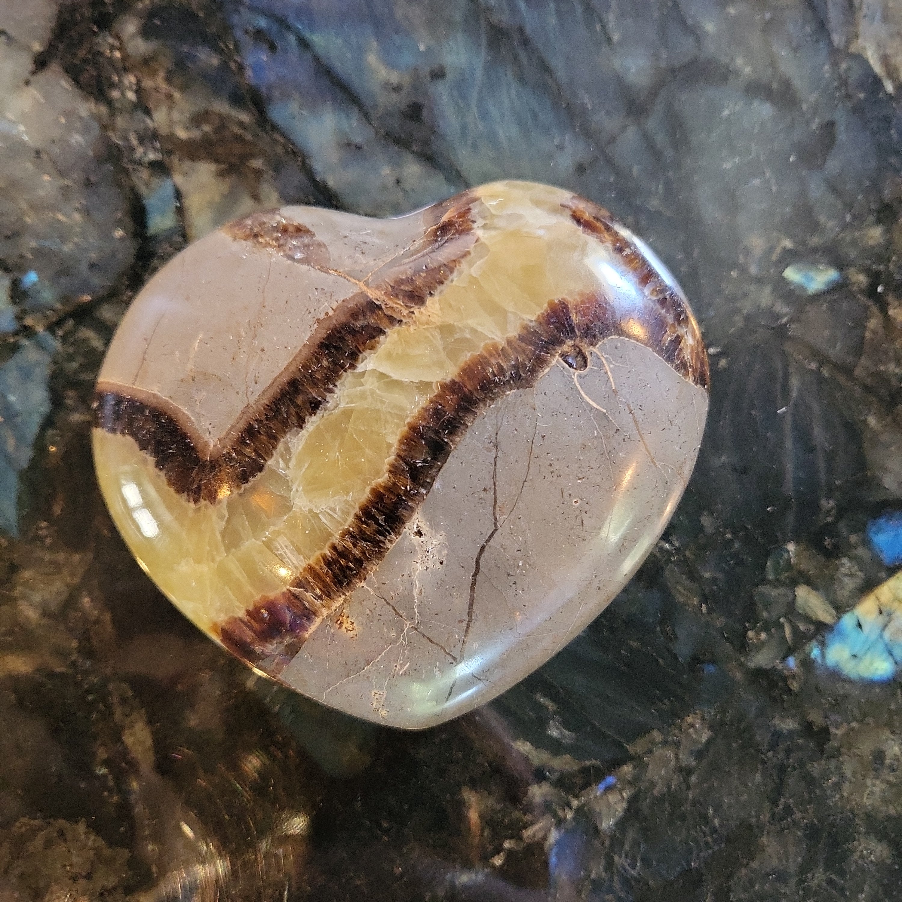 Septarian heart