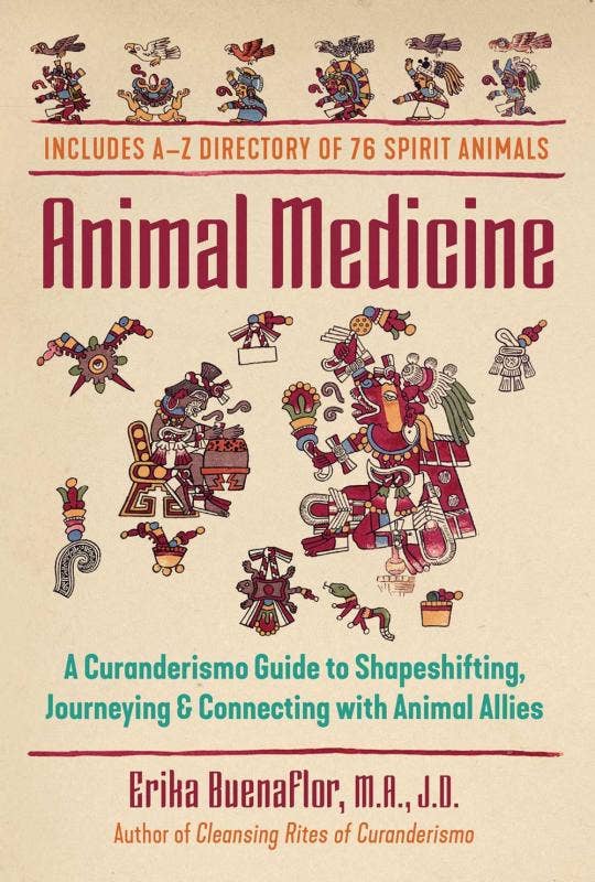 Animal Medicine: A Curanderismo Guide to Shapeshifting