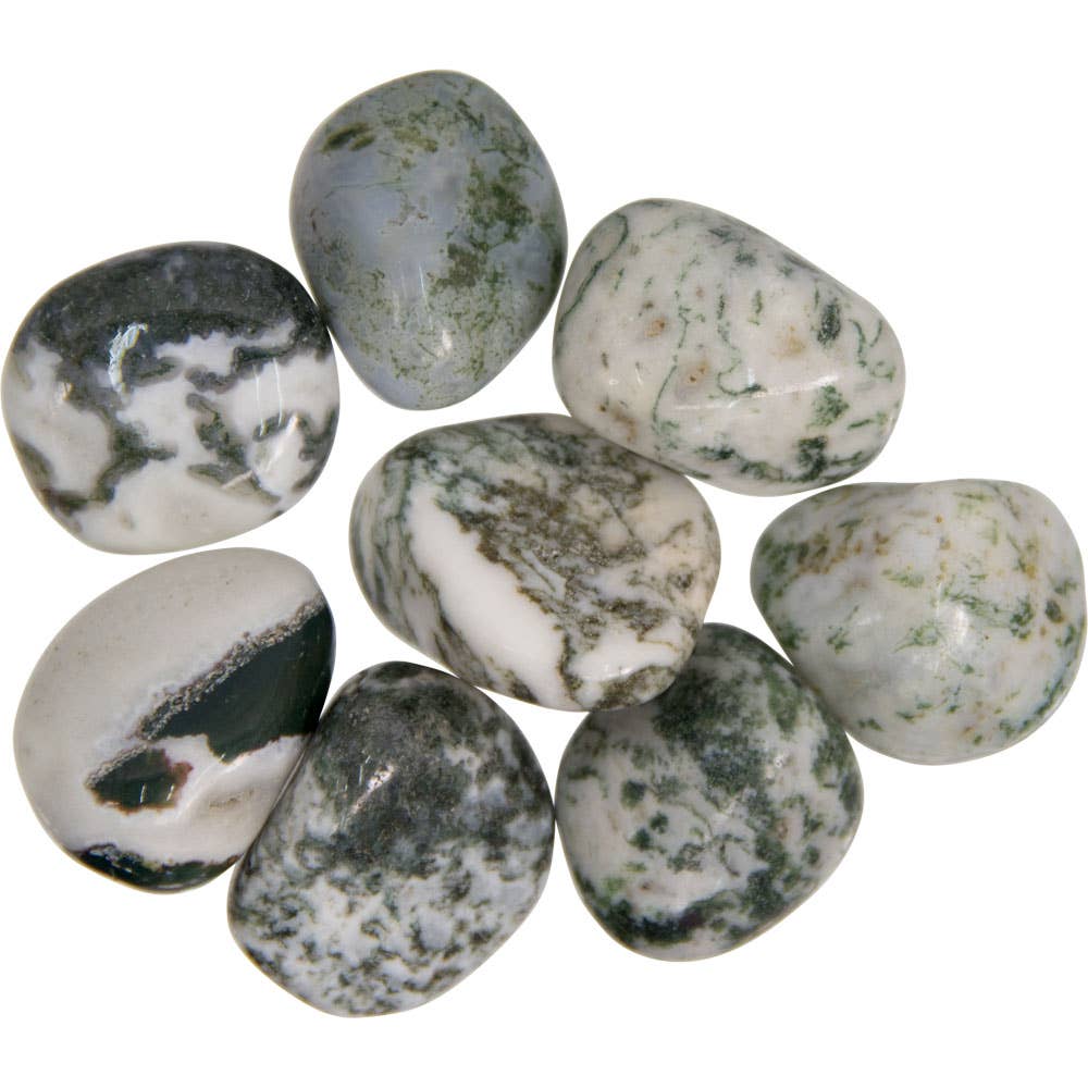 Tree Agate Tumbled Stone